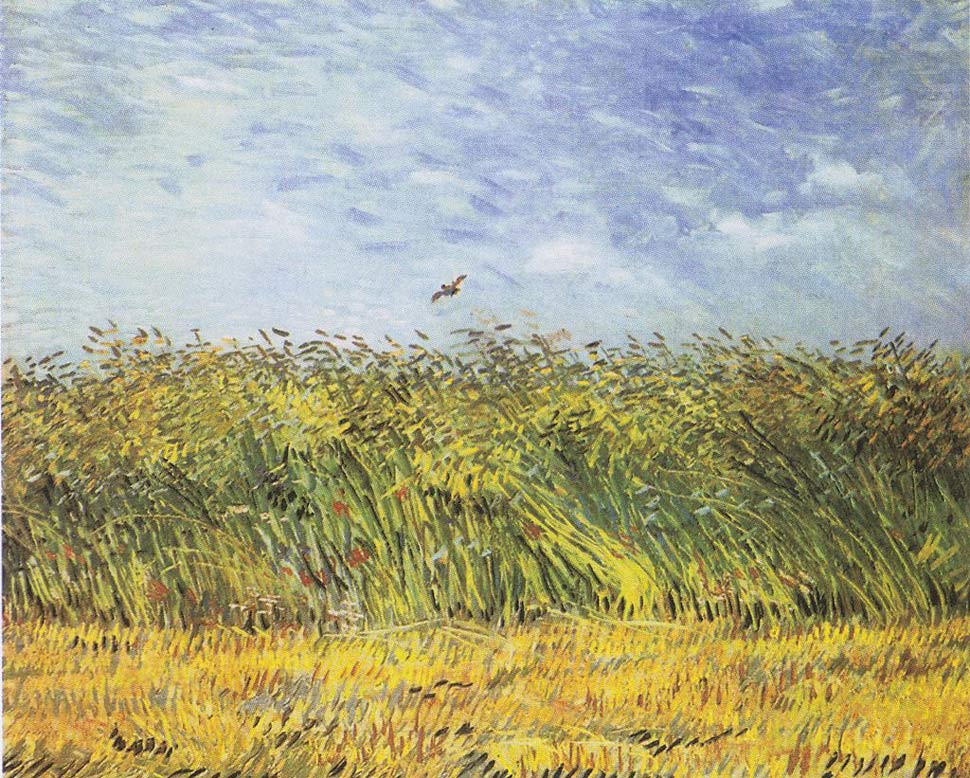 Van Gogh - Campo di grano con allodola, 1887.  Van Gogh Museum