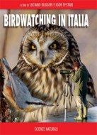 birdwatching-in-italia_407