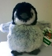 pinguino-piccolo