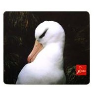 tappetino-per-il-mouse-natura-albatros