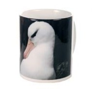 tazza-ceramica-albatros