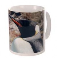 tazza-pinguino-ceramica-bianca