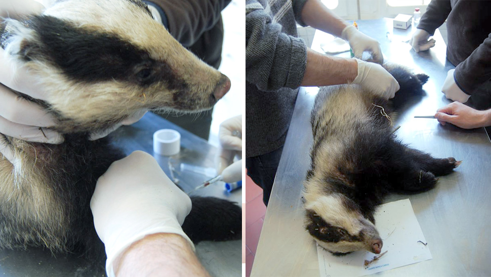 Cure mediche ad un tasso Cure mediche ad un tasso