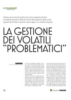 Articolo Dinetti.pdf
