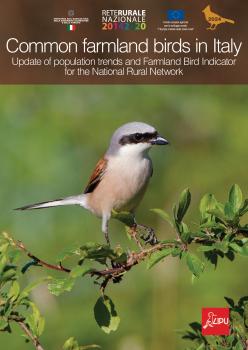Uccelli_Comuni2024__ENG_updated.pdf
