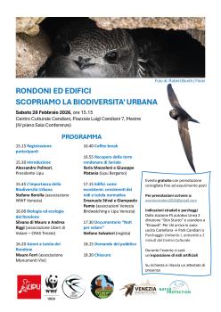 Programma Rondoni ed Edifici 2026-3_251209_101429.pdf