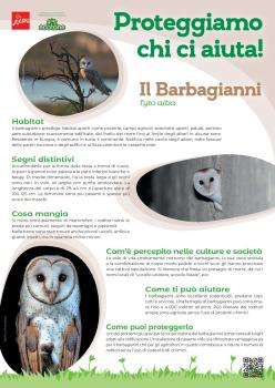 THE HELPERS_SCHEDE.pdf