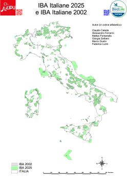 iba_2024_confronto_iba_2002_e_2024.pdf