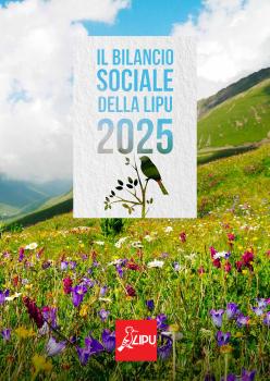 Bilancio_Sociale_2025.pdf