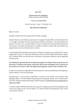 Relazione di Missione 2025.pdf