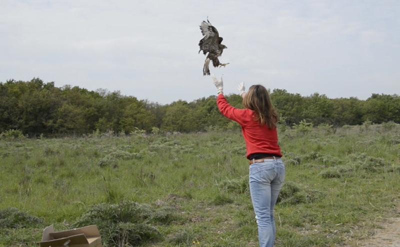 Un fotogramma tratto dal video di Ester Mantero 