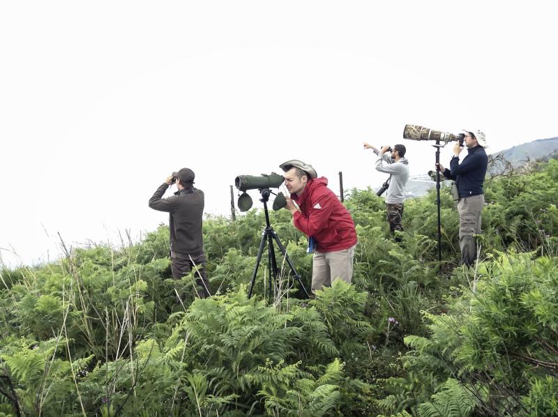 Campo antibracconaggio sullo Stretto di Messina