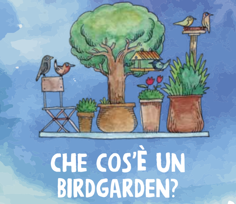 Costruiamo un birdgarden?
