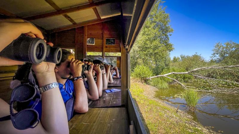 Birdwatching alla Riserva naturale Palude Brabbia