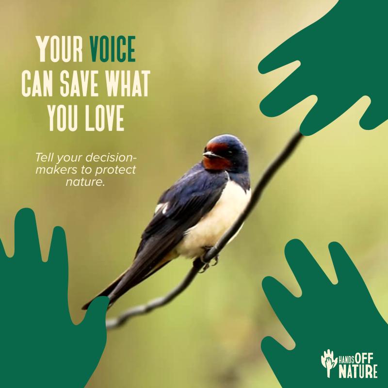 Fai sentirela tua voce