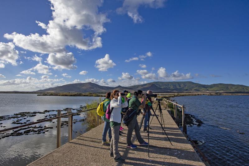 Stagno di San Giovanni in Terralba