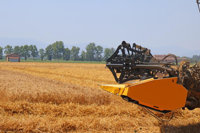 Agricoltura nella bassa parmense