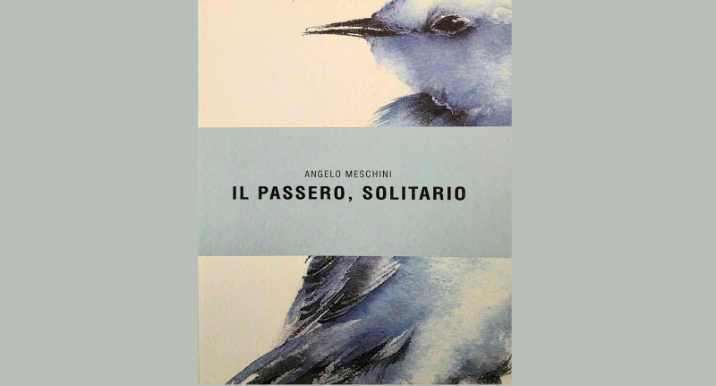 La copertina del libro