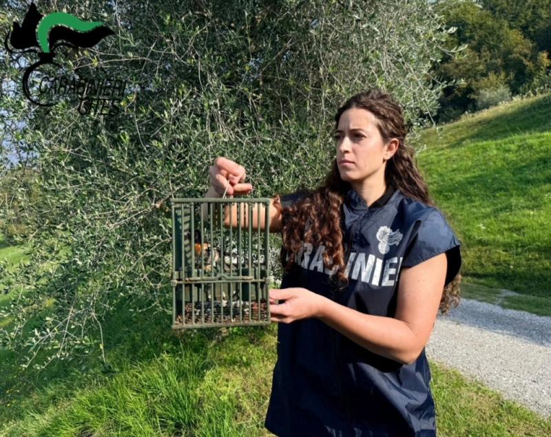 Un intervento dell'operazione Pettirosso