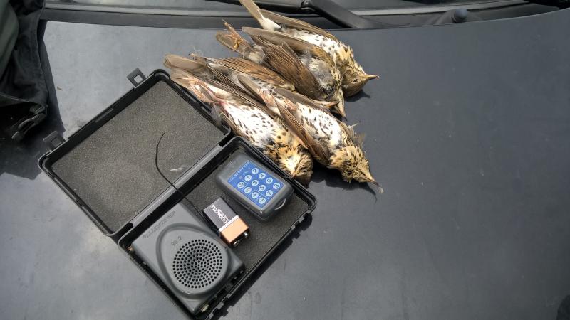 Un sequestro effettuato nel 2024 durante la precedente operazione "Recall"