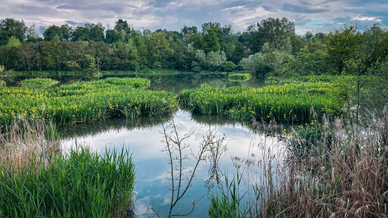 Riserva naturale Crava Morozzo (Cuneo)