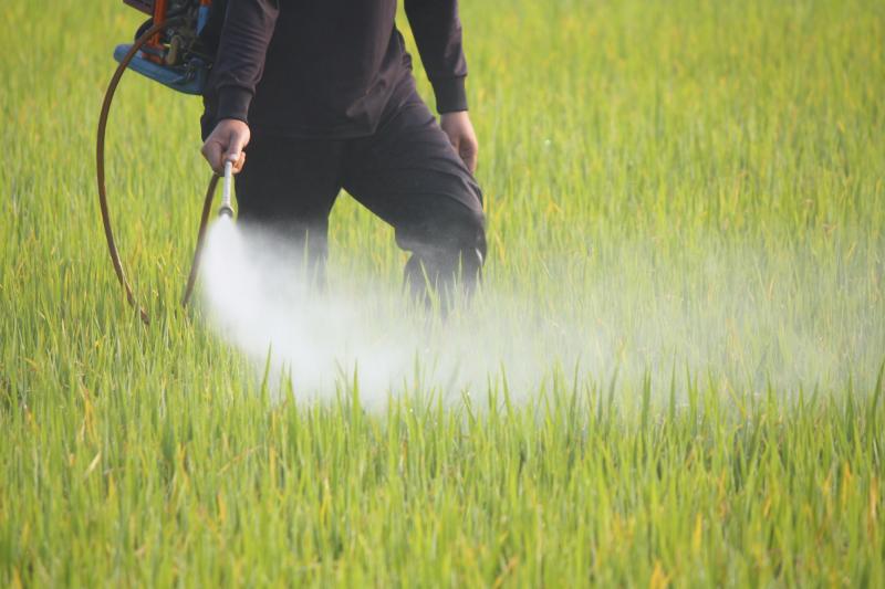 Pesticidi nei campi