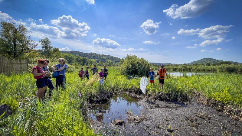 Riserva Palude Brabbia