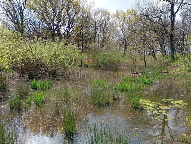 La Riserva Lago di Sibolla