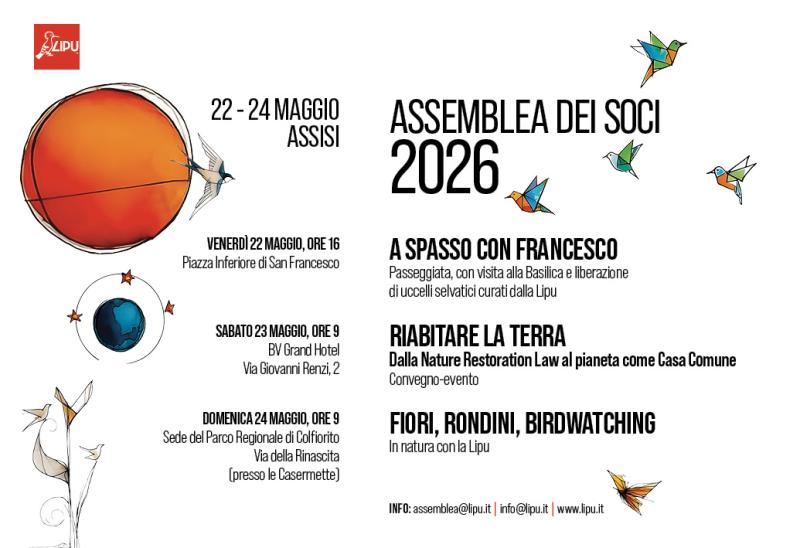 Il programma
