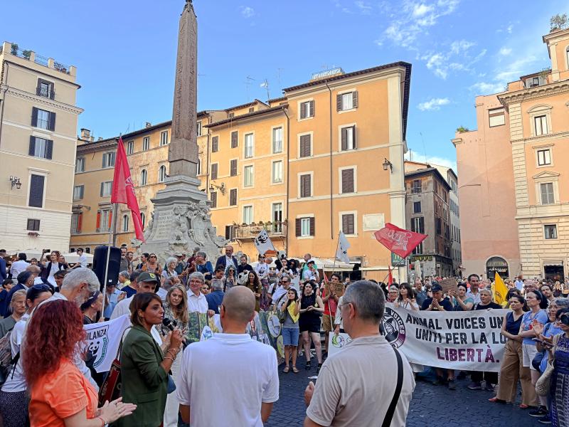 Un momento del presidio di oggi a Roma