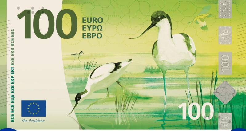 L'immagine dell'avocetta per i 100 euro