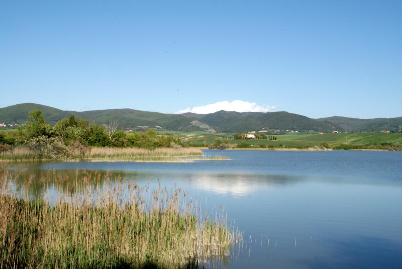 Una veduta della Riserva naturale Lago di Santa Luce (Pisa)