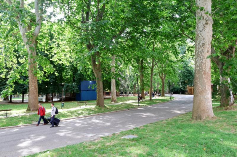 Parco urbano