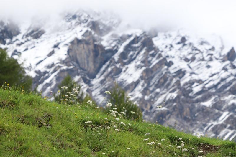 Paesaggio alpino