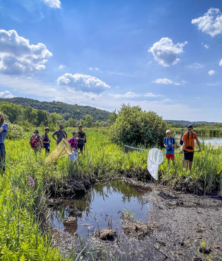 Riserva Palude Brabbia