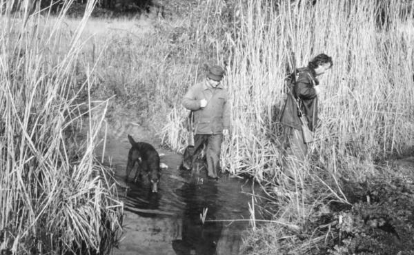 Foto A.P. Rossi/Archivio Lipu 