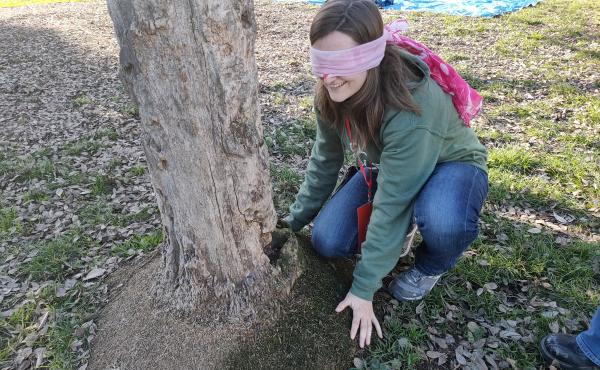 Educazione ambientale