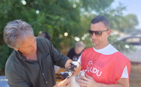 Una fase dell'inanellamento