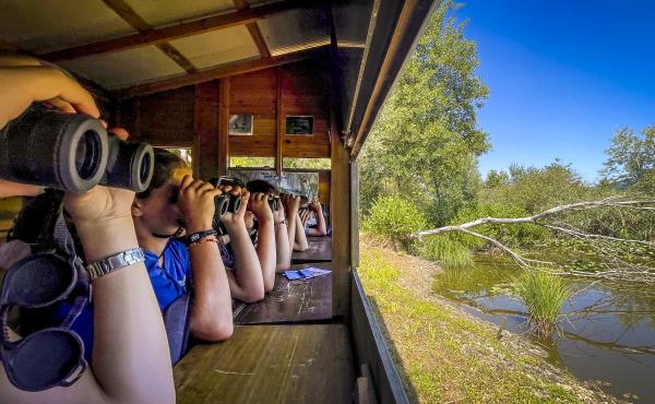 Birdwatching alla Riserva naturale Palude Brabbia