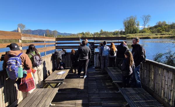 Riserva Palude Brabbia