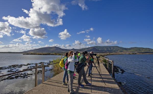 Stagno di San Giovanni in Terralba