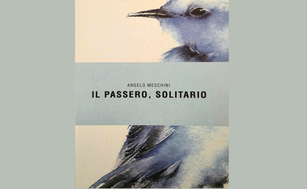 La copertina del libro