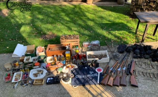 Operazione Pettirosso (2)