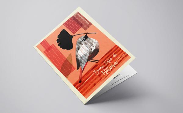 Il biglietto codirosso spazzacamino