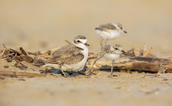 Fratini, concorso fotografico Life A-Mar 2023