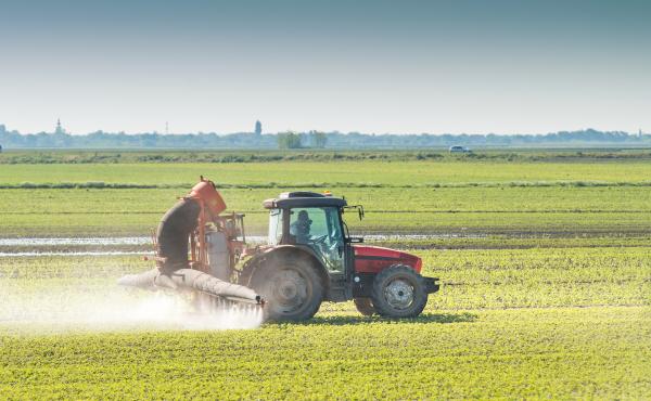 Un trattore sparge pesticidi su una coltivazione di soia