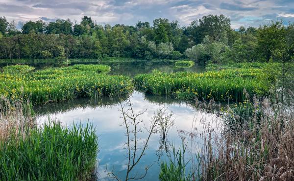 Riserva naturale Crava Morozzo (Cuneo)