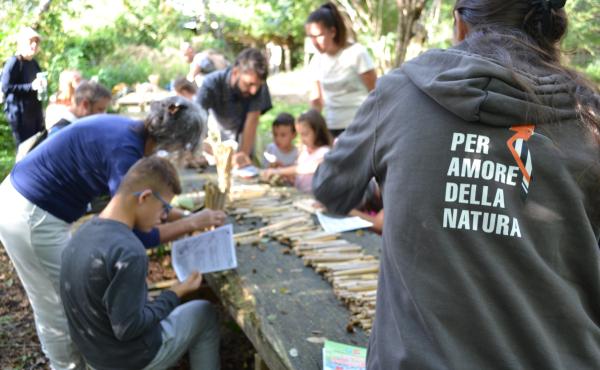 Attività nell'Oasi Lipu Massaciuccoli