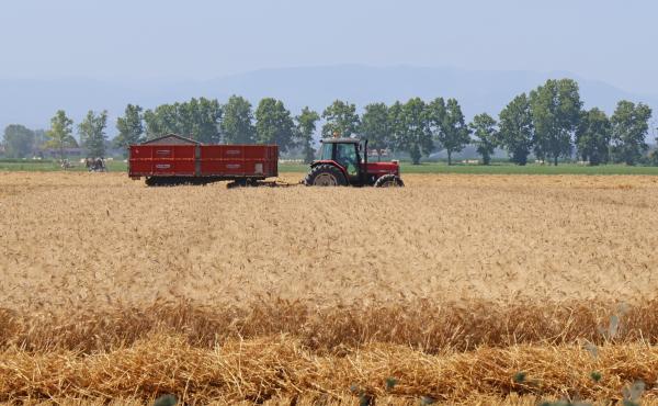 Attività agricola in pianura padana