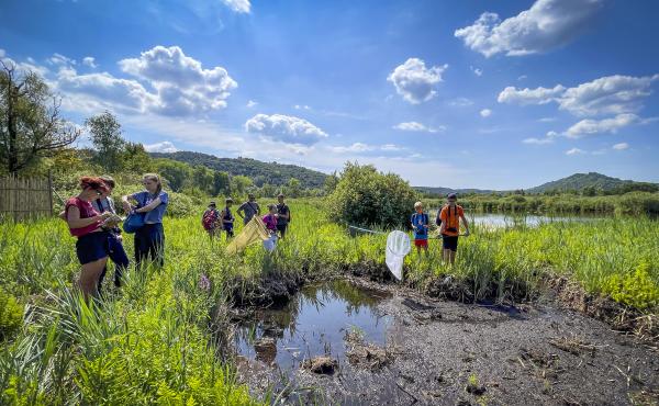 Riserva Palude Brabbia